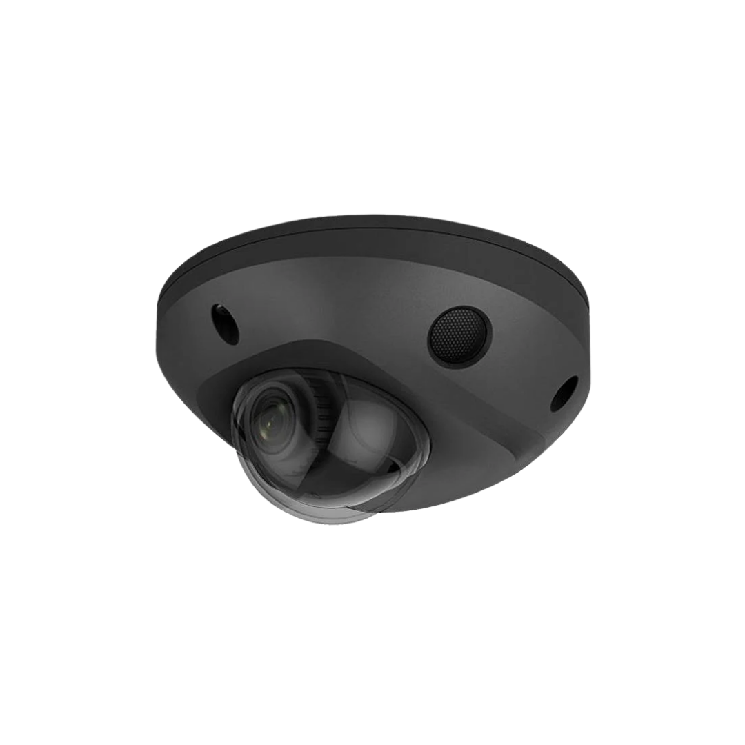 TrueCCTV TR-IP8DO28 Black Dome Camera